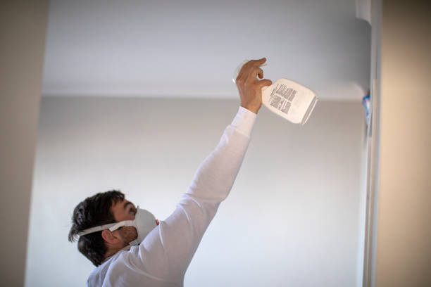 Attic Mold Removal in Havana, IL