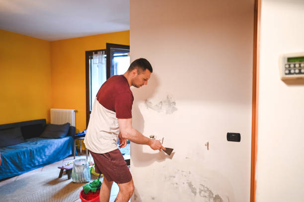 Best Office Mold Removal Services  in Havana, IL
